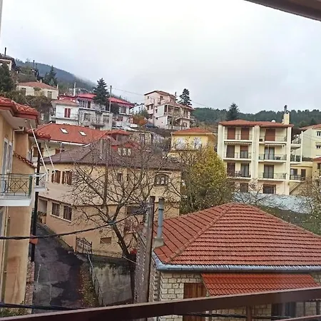 Urban Mountain House