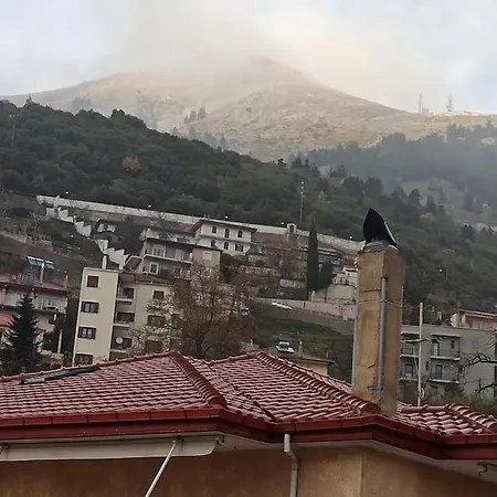 Urban Mountain House 아파트