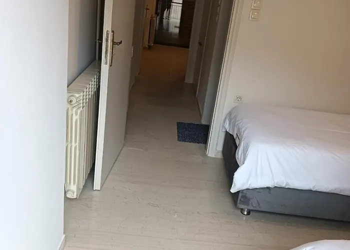 Urban Mountain House